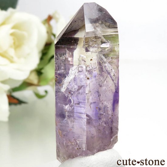 ʥߥӥ ֥ɥС äפꥢ᥸Ȥη뾽() 16.9gμ̿1 cute stone