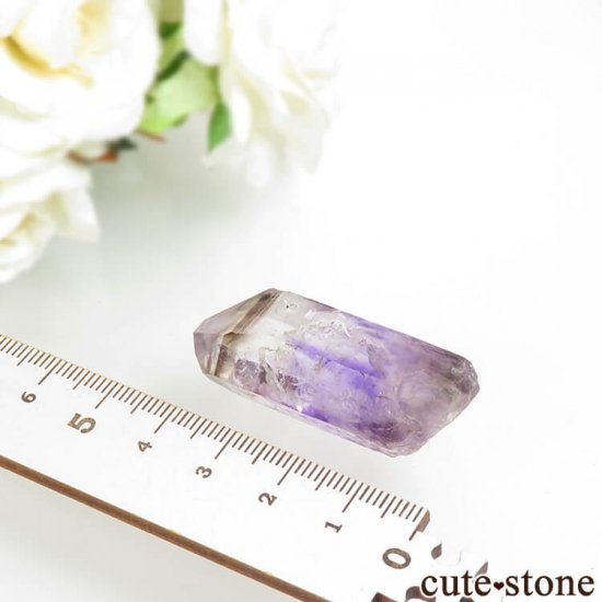 ʥߥӥ ֥ɥС äפꥢ᥸Ȥη뾽() 16.9gμ̿6 cute stone