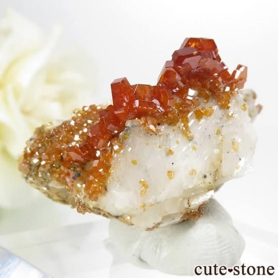 å Хʥʥ&Х饤Ȥη뾽ʸС 20gμ̿1 cute stone