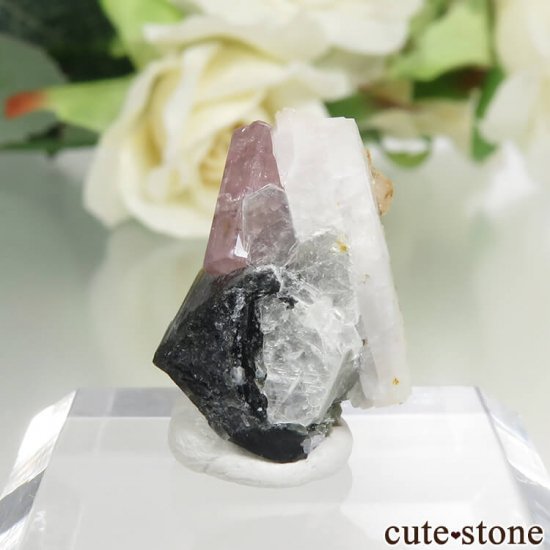 ѥ ɥ ԥ󥯥ѥȡ֥åȥޥեɥѡ⥹Х 3.1gμ̿2 cute stone