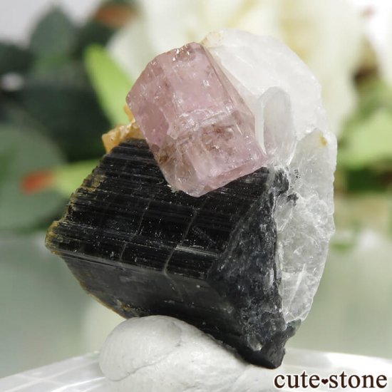 ѥ ɥ ԥ󥯥ѥȡ֥åȥޥեɥѡ⥹Х 3.1gμ̿3 cute stone