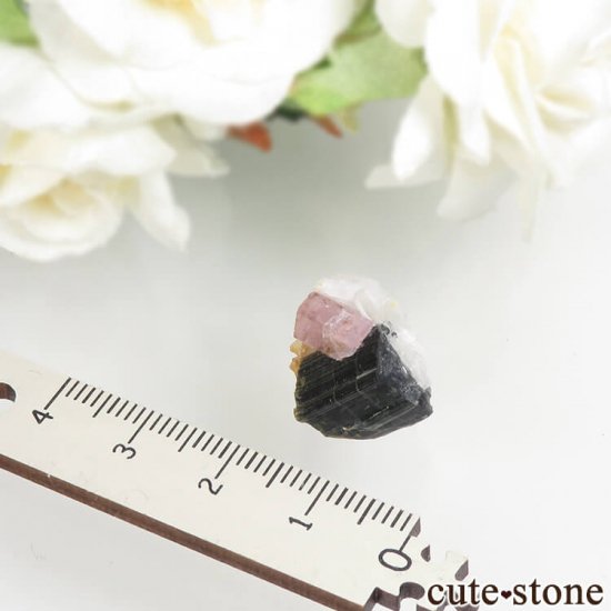 ѥ ɥ ԥ󥯥ѥȡ֥åȥޥեɥѡ⥹Х 3.1gμ̿4 cute stone