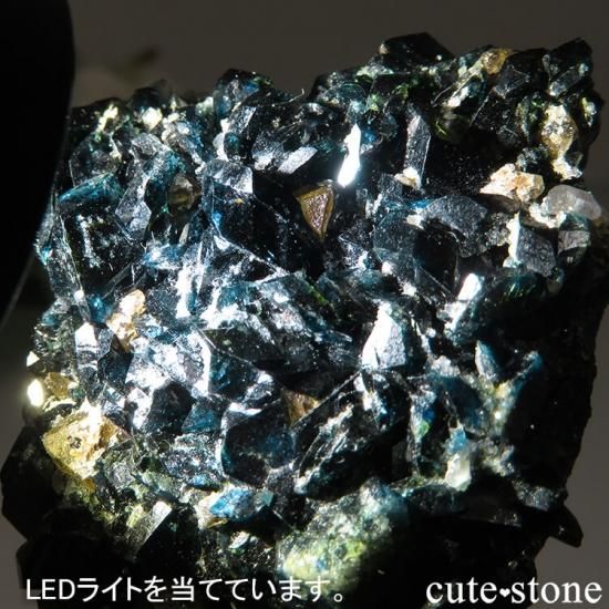 カナダ ユーコン ラピッドクリーク産 ラズライト(天藍石