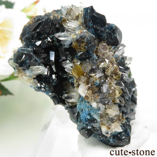 ʥ 桼 ԥåɥ꡼ 饺饤(ŷ)ġǥ饤Ȥդ뾽ʸС 70.8gμ̿0 cute stone