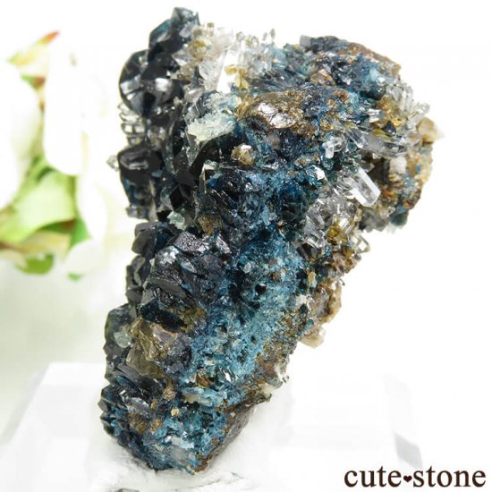 ʥ 桼 ԥåɥ꡼ 饺饤(ŷ)ġǥ饤Ȥդ뾽ʸС 70.8gμ̿2 cute stone