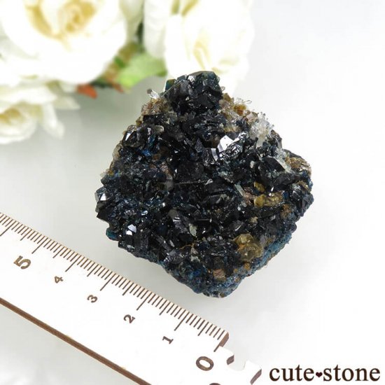 ʥ 桼 ԥåɥ꡼ 饺饤(ŷ)ġǥ饤Ȥդ뾽ʸС 70.8gμ̿8 cute stone