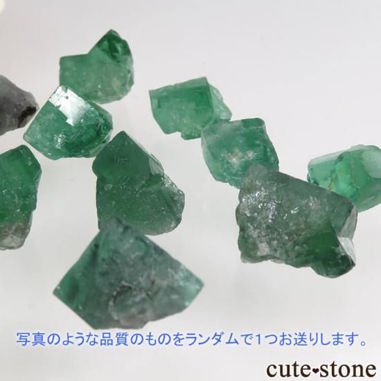 󥳥 Diana Maria ե饤Ȥη뾽ʶָǣĤפޤˤμ̿0 cute stone