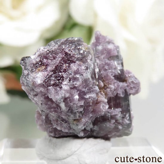 ֥饸 ߥʥ饤 ȥޥԥɥ饤Ȥη뾽ʸС4gμ̿0 cute stone
