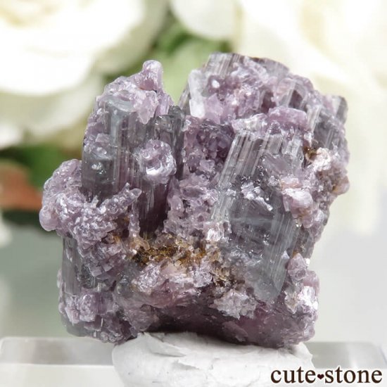 ֥饸 ߥʥ饤 ȥޥԥɥ饤Ȥη뾽ʸС4gμ̿2 cute stone