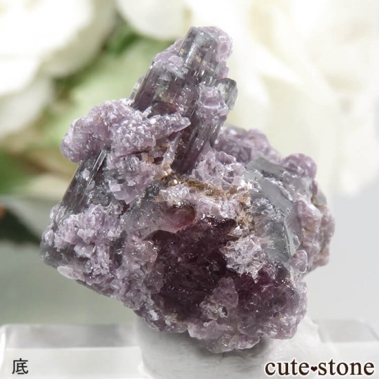 ֥饸 ߥʥ饤 ȥޥԥɥ饤Ȥη뾽ʸС4gμ̿3 cute stone