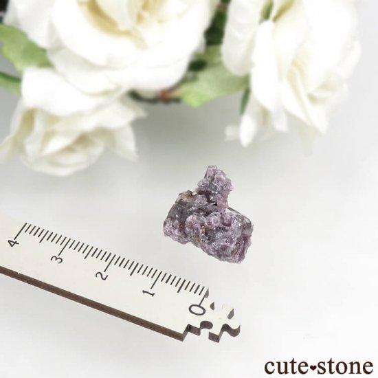 ֥饸 ߥʥ饤 ȥޥԥɥ饤Ȥη뾽ʸС4gμ̿4 cute stone