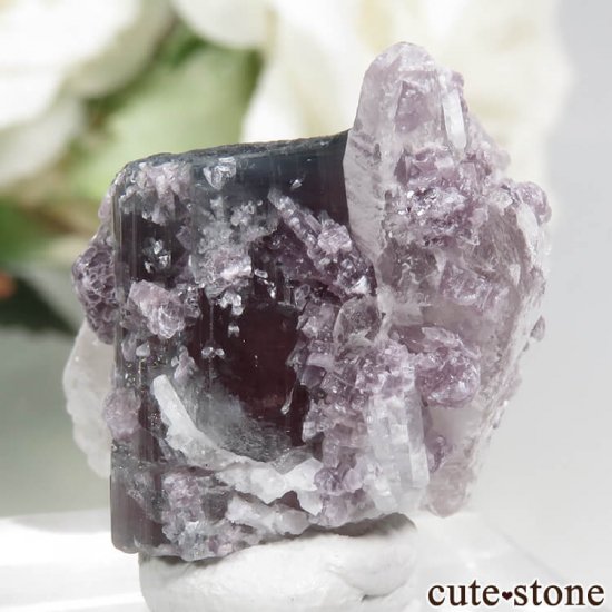 ֥饸 ߥʥ饤 ȥޥԥɥ饤ȡĤη뾽ʸС7.3gμ̿2 cute stone