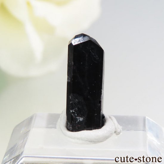 カリフォルニア産 ネプチュナイトの結晶 原石 1 9ct Cute Stone