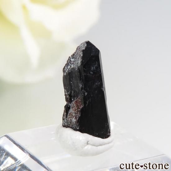 カリフォルニア産 ネプチュナイトの結晶（原石） 1.9ct - cute stone -