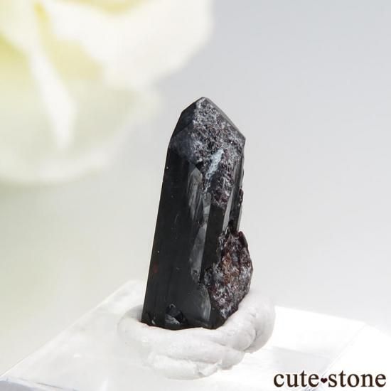 カリフォルニア産 ネプチュナイトの結晶（原石） 1.9ct - cute stone -