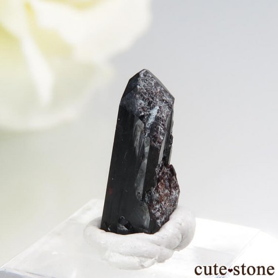ե˥ ͥץʥȤη뾽ʸС 1.9ctμ̿1 cute stone