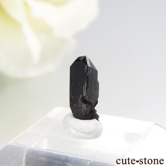 ե˥ ͥץʥȤη뾽ʸС 0.6ctμ̿0 cute stone