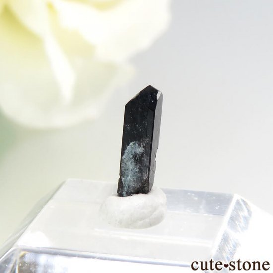 ե˥ ͥץʥȤη뾽ʸС 0.6ctμ̿1 cute stone