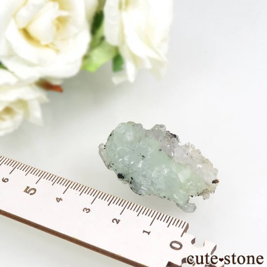  ʻ ץʥȡġԥɡȤη뾽 18.3gμ̿3 cute stone