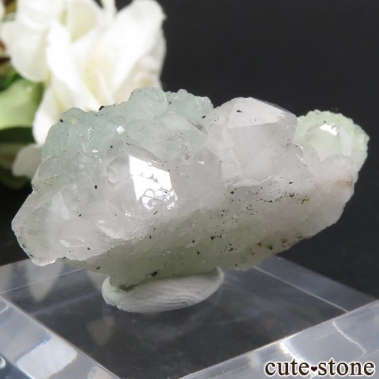  ʻ ץʥȡġԥɡȤη뾽 17.9gμ̿1 cute stone