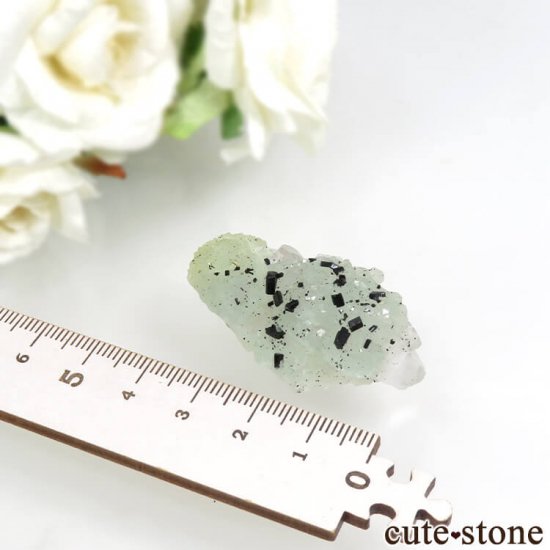  ʻ ץʥȡġԥɡȤη뾽 17.9gμ̿2 cute stone