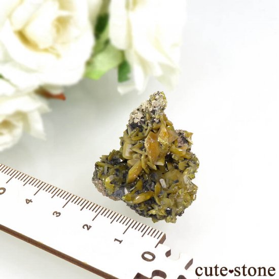 å Touissit եʥȤդ뾽ʸС 25gμ̿4 cute stone