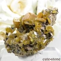 å Touissit եʥȤդ뾽ʸС 25gβ