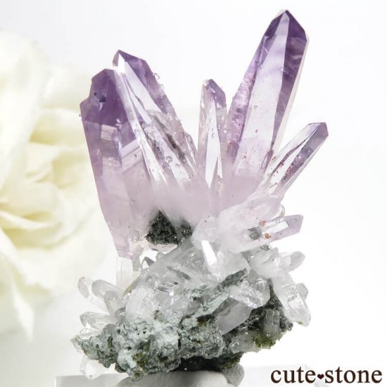ᥭ ٥饯륹 ᥸Ȥη뾽ʥ٥饯륹᥸ȤθС 6.3gμ̿0 cute stone