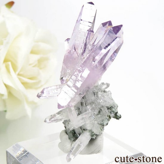 ᥭ ٥饯륹 ᥸Ȥη뾽ʥ٥饯륹᥸ȤθС 6.3gμ̿1 cute stone