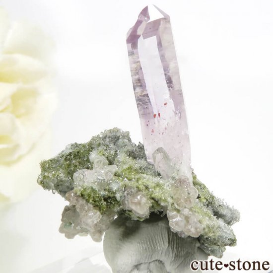 ᥭ ٥饯륹 ᥸Ȥη뾽ʥ٥饯륹᥸ȤθС 5gμ̿0 cute stone