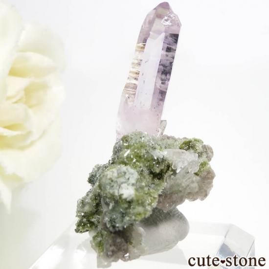 ᥭ ٥饯륹 ᥸Ȥη뾽ʥ٥饯륹᥸ȤθС 5gμ̿1 cute stone