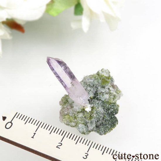 ᥭ ٥饯륹 ᥸Ȥη뾽ʥ٥饯륹᥸ȤθС 5gμ̿2 cute stone