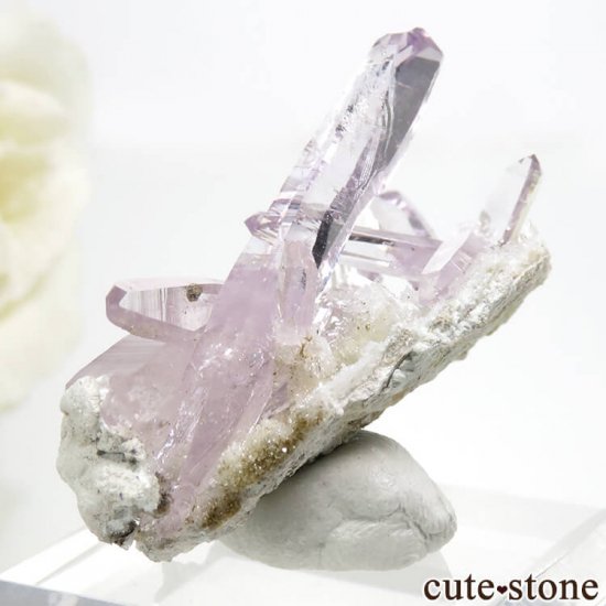 ᥭ ٥饯륹 ᥸Ȥη뾽ʥ٥饯륹᥸ȤθС 6.1gμ̿1 cute stone