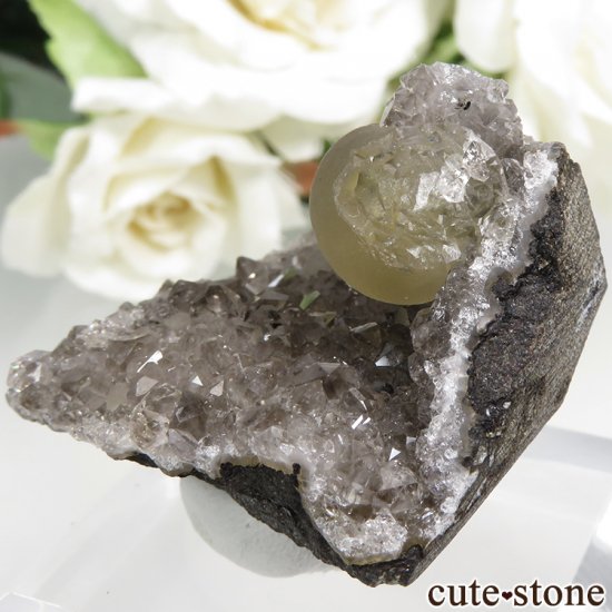 ɻ Υե饤ȡĤθ 30.6gʸСʪɸܡˤμ̿1 cute stone