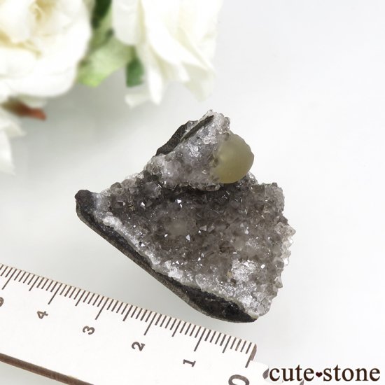 ɻ Υե饤ȡĤθ 30.6gʸСʪɸܡˤμ̿3 cute stone