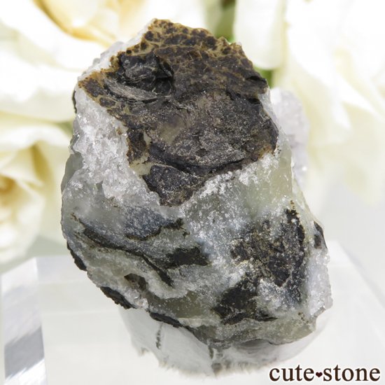 ɻ Υե饤ȡĤθ 22.8gʸСʪɸܡˤμ̿0 cute stone