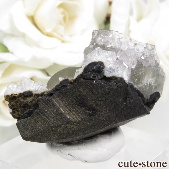 ɻ Υե饤ȡĤθ 22.8gʸСʪɸܡˤμ̿1 cute stone