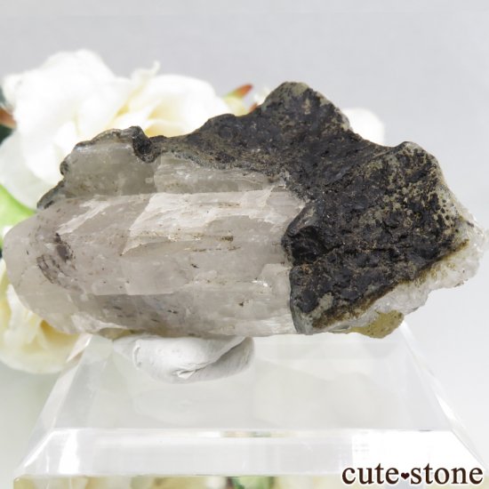ɻ Υե饤ȡġ륵Ȥθ 75.2gʸСʪɸܡˤμ̿0 cute stone