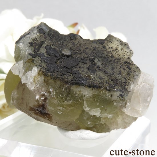ɻ Υե饤ȡġ륵Ȥθ 75.2gʸСʪɸܡˤμ̿1 cute stone