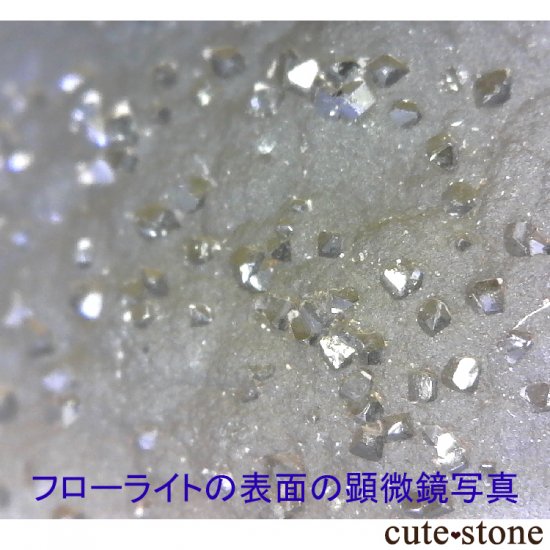 ɻ Υե饤ȡġ륵Ȥθ 75.2gʸСʪɸܡˤμ̿3 cute stone