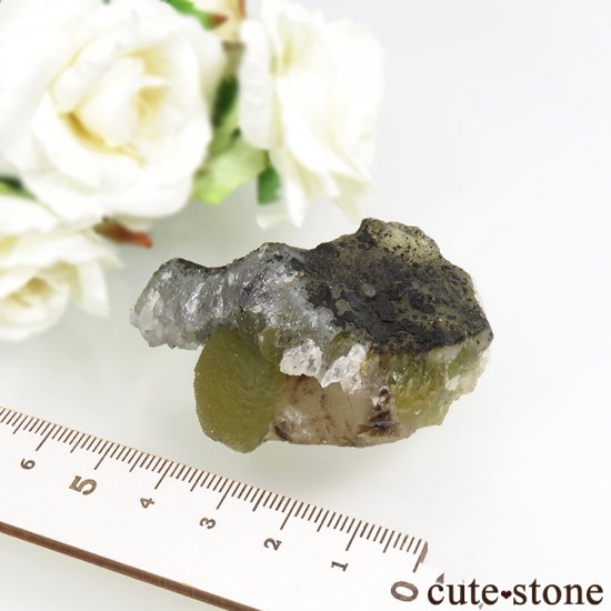ɻ Υե饤ȡġ륵Ȥθ 75.2gʸСʪɸܡˤμ̿4 cute stone