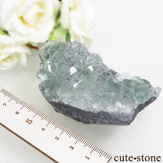  Xianghualing Mine ꡼ե饤Ȥη뾽 127.3gμ̿4 cute stone