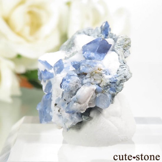 ե˥ ٥˥ȥȤդ뾽ʸС 8.4gμ̿2 cute stone