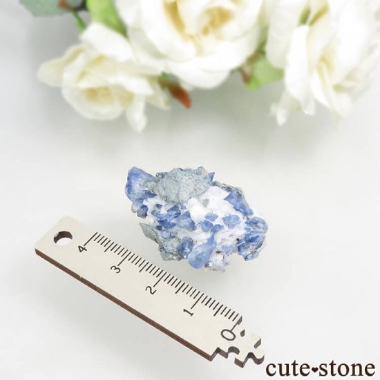 ե˥ ٥˥ȥȤդ뾽ʸС 8.4gμ̿5 cute stone