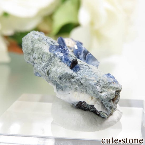 ե˥ ٥˥ȥȡͥץʥȤդ뾽ʸС 2.4gμ̿0 cute stone
