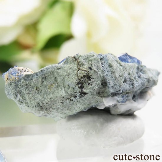 ե˥ ٥˥ȥȡͥץʥȤդ뾽ʸС 2.4gμ̿1 cute stone