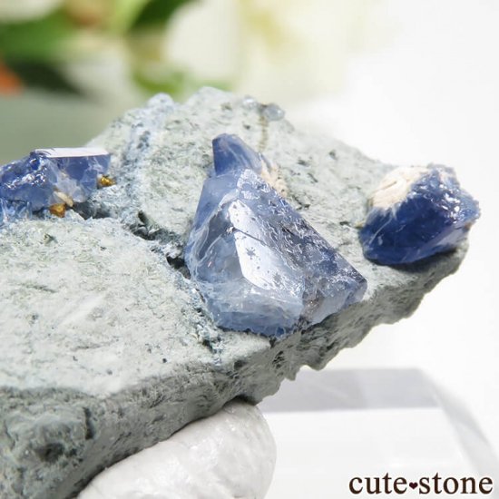 ե˥ ٥˥ȥȡͥץʥȤդ뾽ʸС 2.4gμ̿2 cute stone