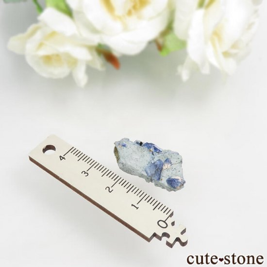 ե˥ ٥˥ȥȡͥץʥȤդ뾽ʸС 2.4gμ̿3 cute stone