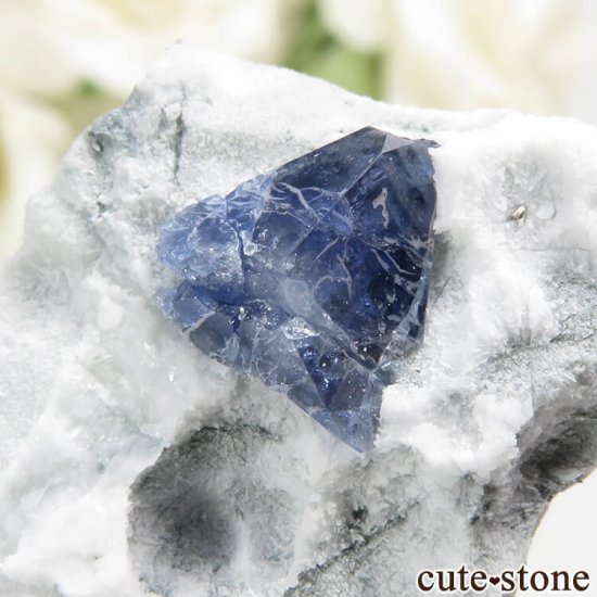 ե˥ ٥˥ȥȤդ뾽ʸС 8.1gμ̿2 cute stone