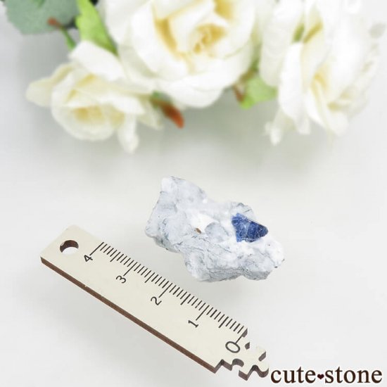 ե˥ ٥˥ȥȤդ뾽ʸС 8.1gμ̿3 cute stone